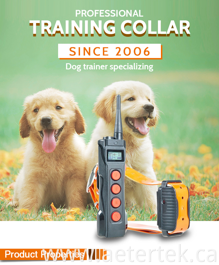 Electronic Training Anti Bark Collar AT-919C